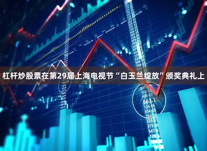 杠杆炒股票在第29届上海电视节“白玉兰绽放”颁奖典礼上