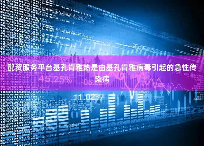 配资服务平台基孔肯雅热是由基孔肯雅病毒引起的急性传染病