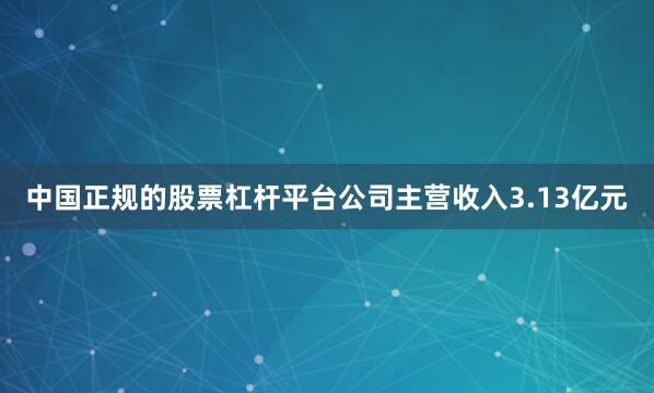 中国正规的股票杠杆平台公司主营收入3.13亿元