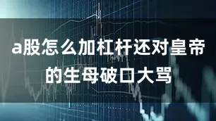 a股怎么加杠杆还对皇帝的生母破口大骂